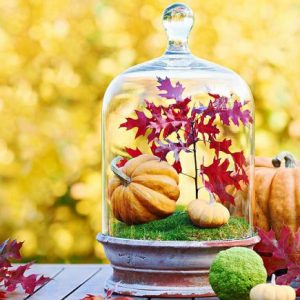fall-in-a-jar1