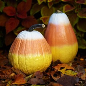 painted-pumpkins1